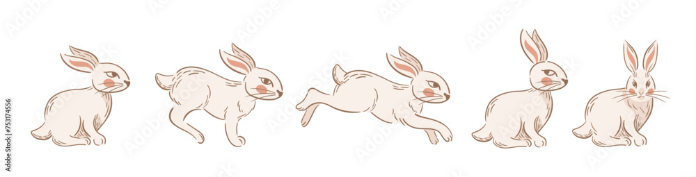Fototapeta premium Set Easter running and sitting rabbits. Vintage stylized retro illustration. Boho, rustic style. Slavic folk. For stickers, posters, postcards, design elements