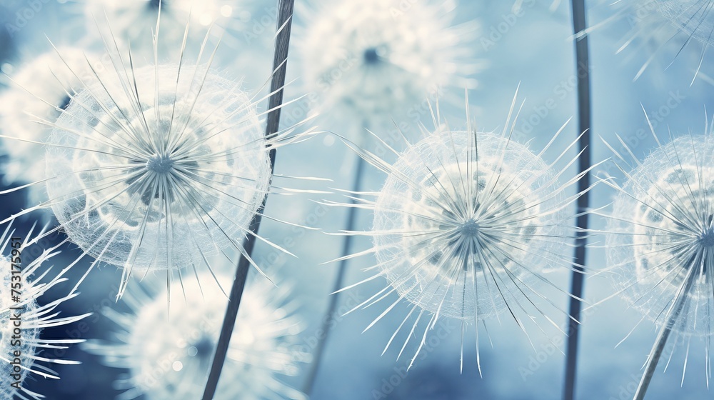 Naklejka premium A close-up image showcases the cyanotype tone effect on a flower pom pom seed head, adding depth and texture to the photograph.