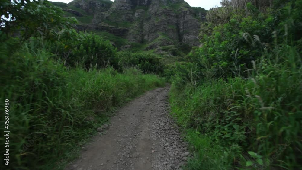 Narrow dirt path through Hawaiian valley - dusk Narrow dirt path through Hawaiian valley - dusk