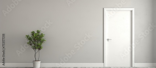 Minimalist interior with white door and grey wall