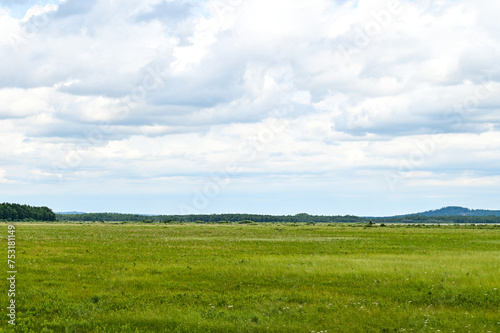 Typical landscape of the Store Mosse National Park as the largest moor area in southern Sweden with raised moors, lakes and forests, in summer, near Värnamo and Hillerstorp, Jönköping County, Smaland,