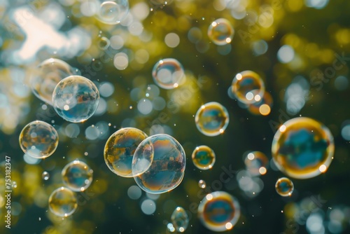 Ethereal Display of Floating Bubbles Reflecting Nature Beauty.