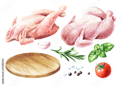 Raw chicken hen carcass broiler and free grazing, farm set. Hand drawn watercolor illustration isolated on white background