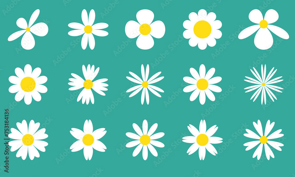 White Daisy chamomile flower icons set, Chamomile big set. Cute round flower plant collection. Flat spring floral elements, Blossom flowers with white petals.