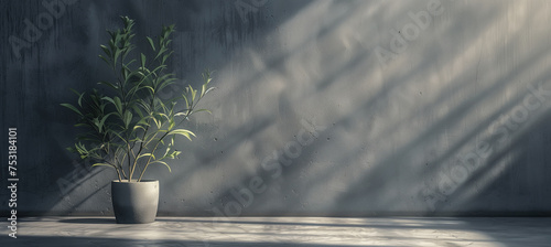 A 3D rendered image showcasing a luscious plant in a concrete pot, positioned in a luminous room with a wal