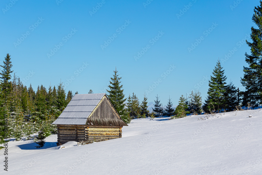 Just a snow covered little cottage at the edge of forest in Tatra Mountains.