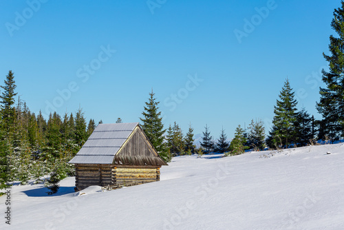 Just a snow covered little cottage at the edge of forest in Tatra Mountains. © Jarosaw