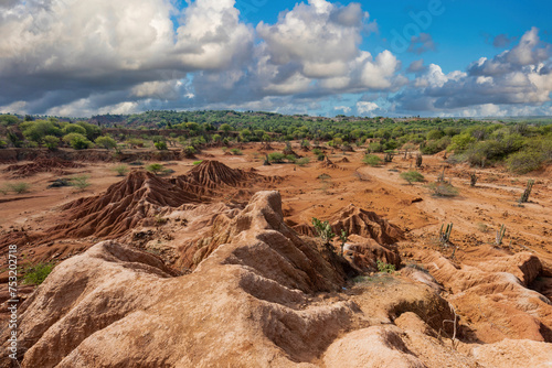 Natural landscape with geological formations and green Cactus in the Red Desert. Huila, Colombia.