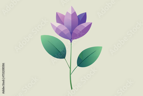 Liac Flower Vector Illustration photo
