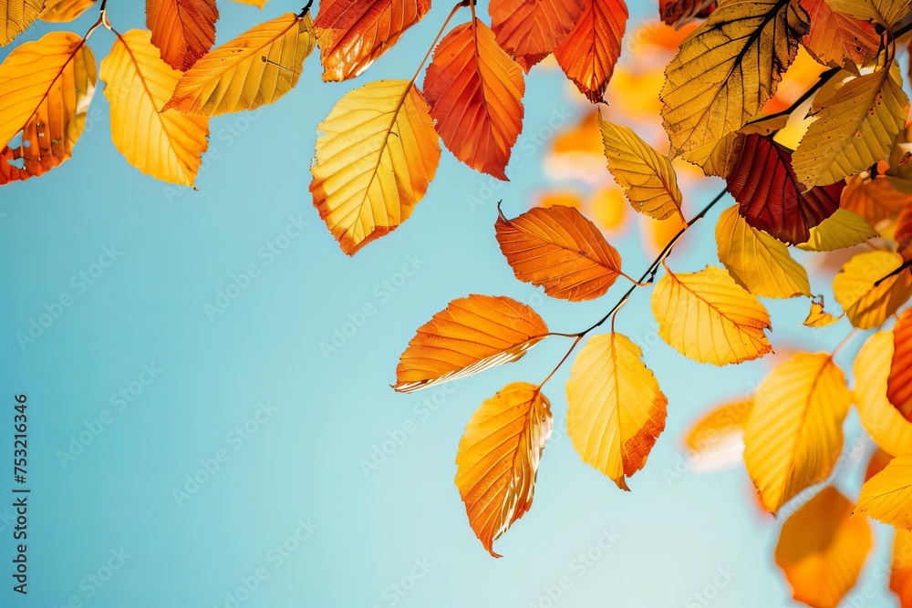 Vivid autumn leaves creating a colorful palette against the clear sky Embodying the beauty of seasonal change