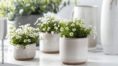 two cylindrical planters in a ceramic mug style, showcasing delicate white flowers.