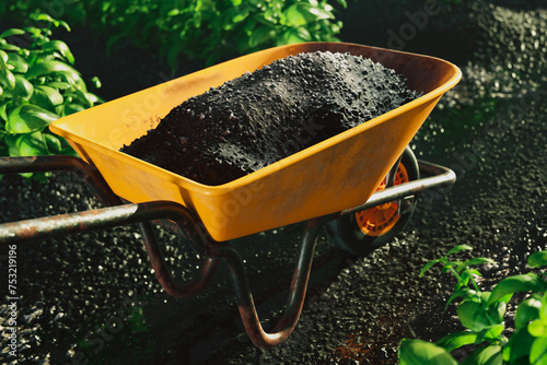 Garden Renovation: Wheelbarrow Laden with Nutrient-Dense Soil Amidst Greenery photo