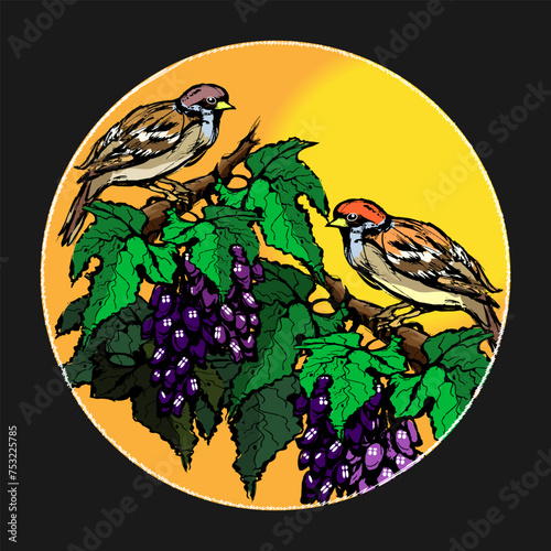 Fototapeta Naklejka Na Ścianę i Meble -  Two birds are sitting on the branches of ripe grapes on the background of the midday sun. Sketch, round picture. Vector illustration