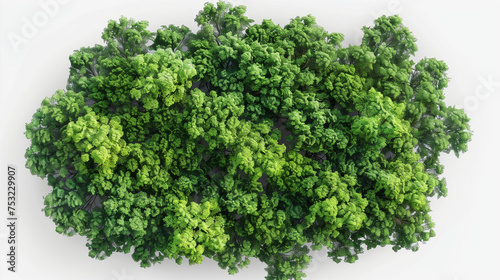  Top view of dense green foliage trees  isolated on transparent background
