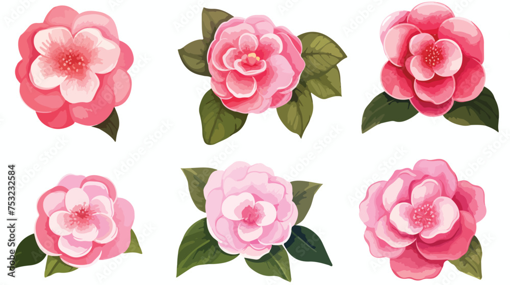 Watercolor camellia flowers set freehand draw cartoo