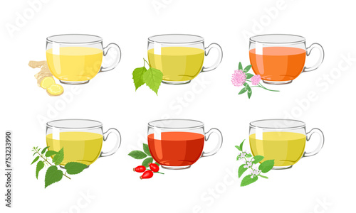 Set of herbal teas in glass cups. Vector cartoon illustration of ginger, birch leaf, nettle, lemon balm, clover and rosehip drink.