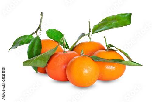 Ripe tangerines with leaves on transparent background png file. Composition of clementines with green leaves isolated with clipping path