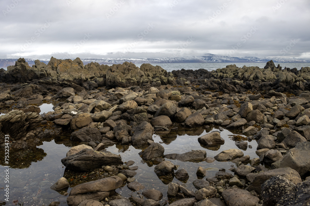Beach of the Atlantic ocean, Westfjords, Iceland Beach of the Atlantic ocean, Westfjords, Iceland