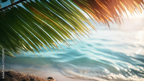 Palm tree on the beach with clear sky and ocean in the background 