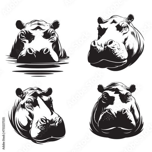 head hippopotamus - black and white behemoth on a white background