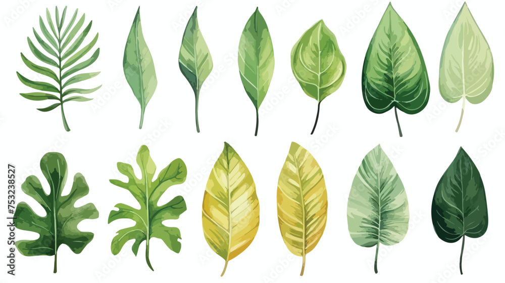 Watercolor set of tropical leaves. freehand draw car - obrazy, fototapety, plakaty 