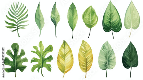Watercolor set of tropical leaves. freehand draw car