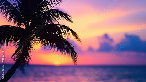Palm tree silhouette at sunset by the ocean  © Creative Universe
