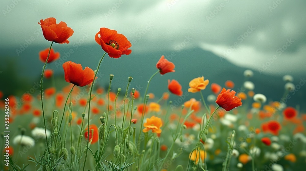 Fototapeta premium a field of red and yellow flowers with a mountain in the backgroup of the picture in the background.