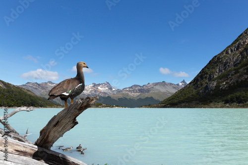 Laguna Esmeralda in Ushuaia Patagonia Argentina.