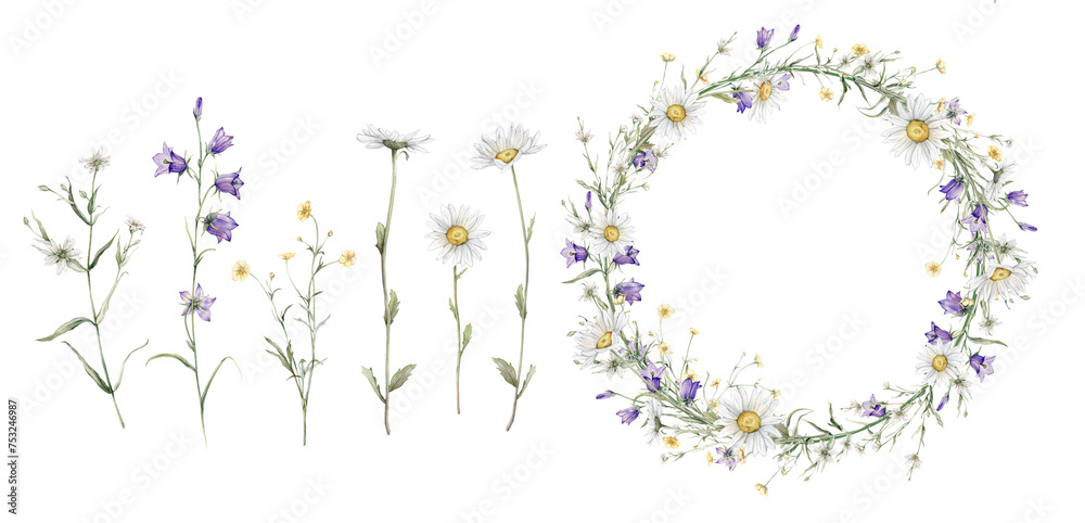 Set of wreath of yellow and white flower and meadow forest flowers. Watercolor hand painting illustration on isolate. Circlet of flowers with chamomile and violet bluebell. Botanical summer wildflower - obrazy, fototapety, plakaty 