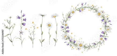 Set of wreath of yellow and white flower and meadow forest flowers. Watercolor hand painting illustration on isolate. Circlet of flowers with chamomile and violet bluebell. Botanical summer wildflower