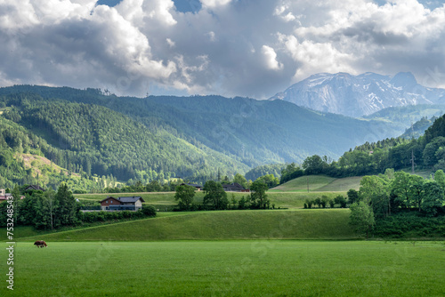 Scenic view of idyllic landscape in the Alps with fresh green meadows