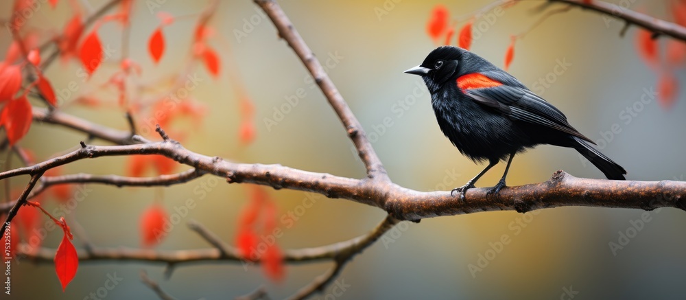 Serenity: Bird Perched on Branch Amidst Vibrant Red Autumn Leaves Under Blue Sky