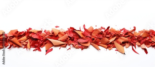 Vibrant Autumn Foliage - Re...