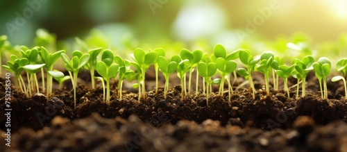 Vibrant Seedling Thriving i...