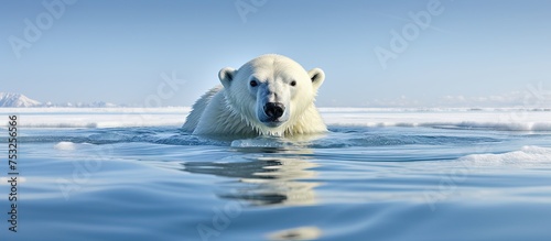 Majestic Arctic Beast Glide...