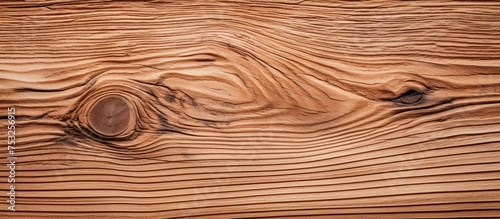 Detailed Close-up View of N...