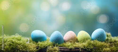 Vibrant Easter Eggs Nestled in Lush Green Moss for Festive Spring Decoration