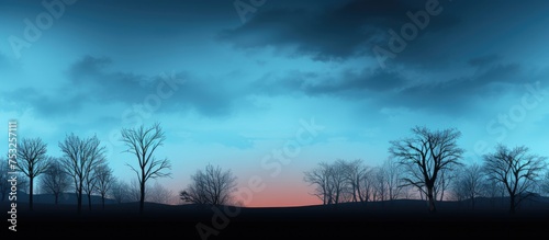 Majestic Sunset Sky with Sc...