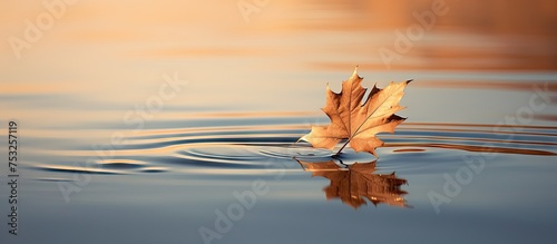 Serene Leaf Drifting on Cal...