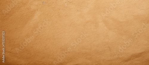 Elegant Brown Paper Backgro...