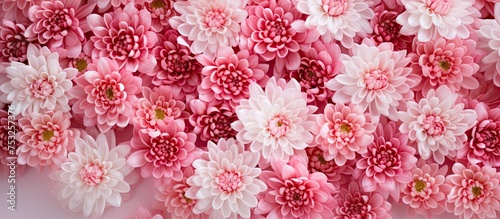 Ethereal Blooms: Vibrant Pi...