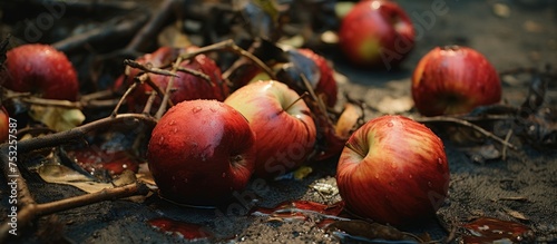 Vibrant Assortment of Fresh...