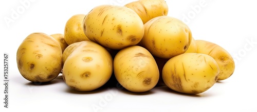 Rustic Harvest of Fresh Raw...