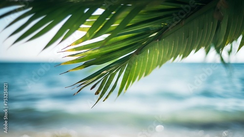 Palm leaf hanging over ocean water 
