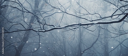 Serene Winter Landscape: Snowy Tree Branch in the Foreground with Soft Falling Snowflakes