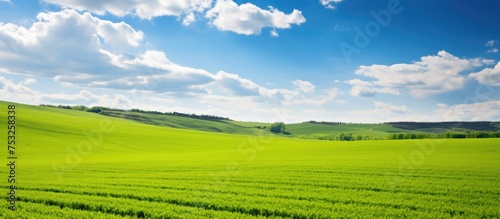 Tranquil Rural Scene: Vast Green Field under a Clear Blue Sky on a Sunny Day © vxnaghiyev