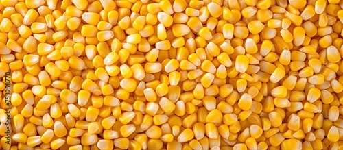 Golden Harvest: Vibrant Pil...