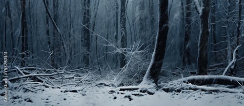 Tranquil Winter Scene in a ...