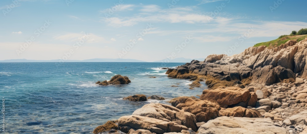 Mesmerizing Blue Water Serenity with Vibrant Seashells on Sandy Beach Shoreline
